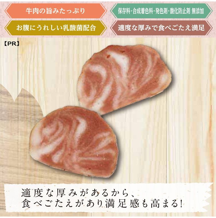 【12個セット】 ドギーマン お肉屋さんのジューシービーフ サラミ 100g【送料無料】