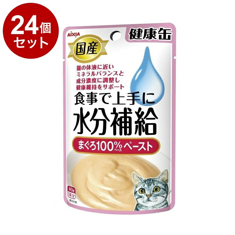 【24個セット】 アイシア 国産 健康缶パウチ 水分補給 まぐろペースト 40g【送料無料】