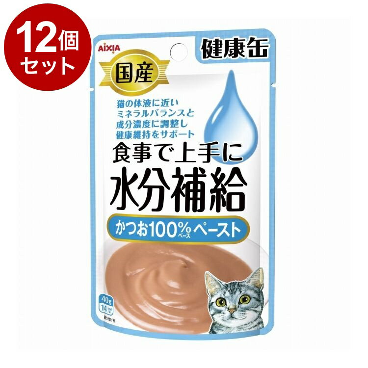 Mature Cat - 【12個セット】 アイシア 国産 健康缶パウチ 水分補給かつおペースト 40g