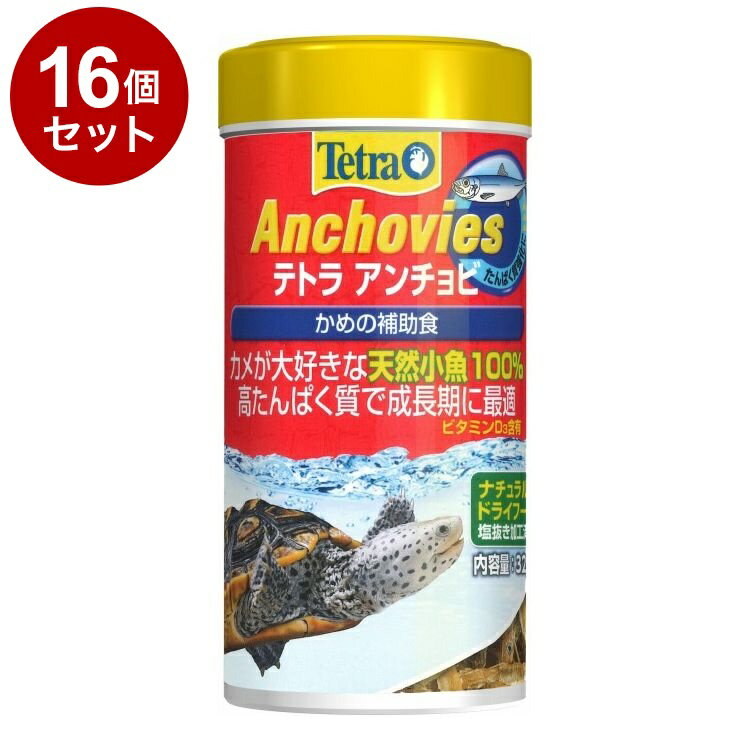 ��16�ĥ��åȡ� �ƥȥ� �������� 32g������̵����