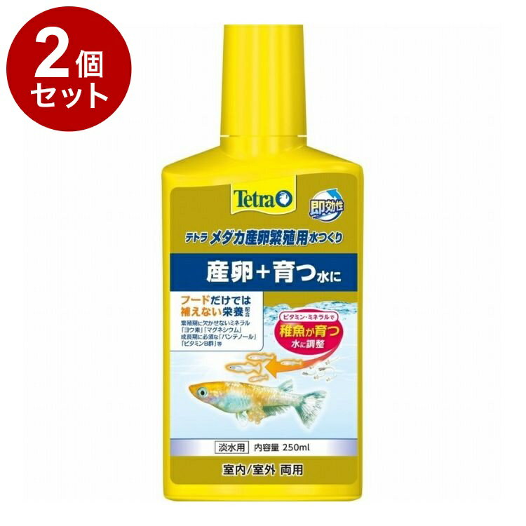 ��2�ĥ��åȡ� �ƥȥ� ����������˿��ѿ�Ĥ��� 250ml