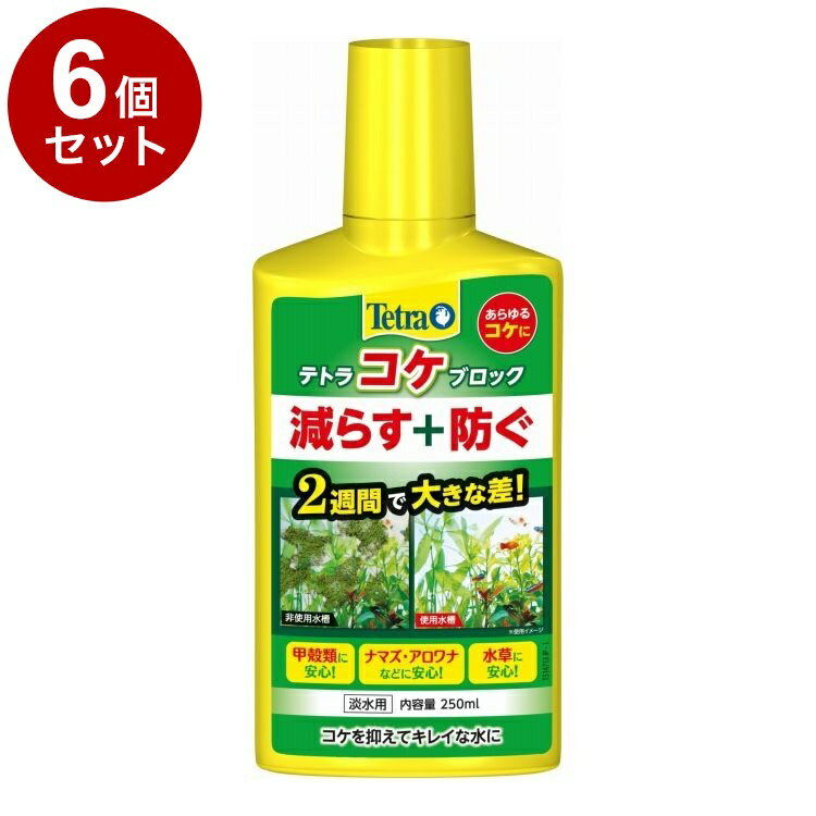 【6個セット】 テトラ コケブロック 250ml【送料無料】