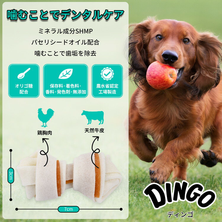 サンプル画像3