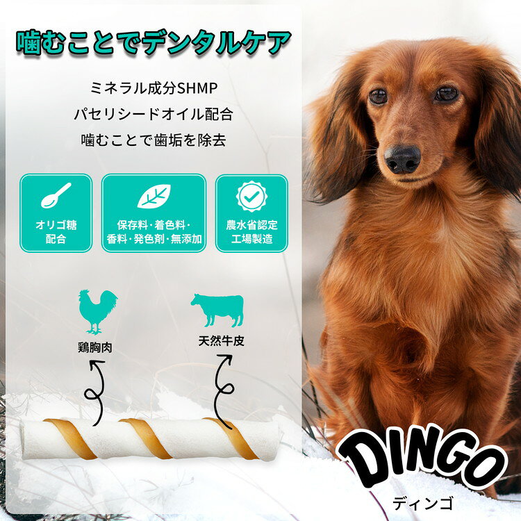 リコメン堂生活館の【4個セット】 ディンゴ オーラルスティック ミニ 24本入【送料無料】｜アングル3