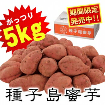 夢百笑種子島蜜芋5kg Sサイズ サツマイモ(代引不可)【送料無料】のサムネイル
