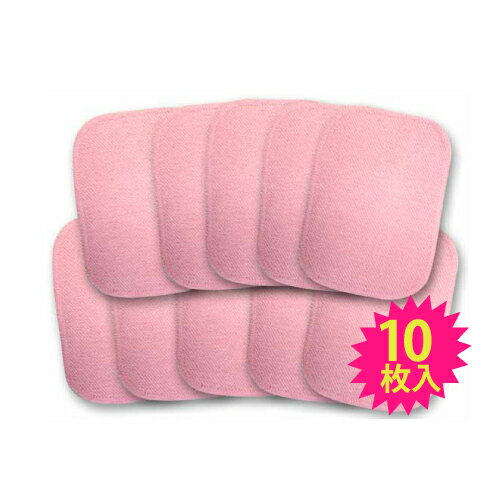 日本製 置くだけ簡単ダニシート10枚組 SA-004 3か月有効 ダニ誘引 オールシーズン対応 殺虫剤未使用(代..