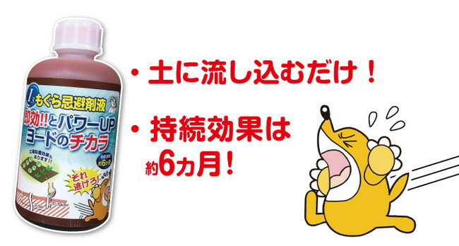 �⤰�����ޱ�(����Բ�)������̵����