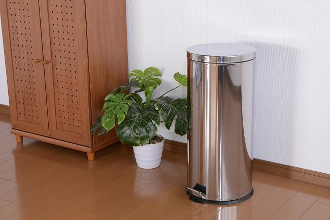 ダストボックス 30L ペダル式ダストボックス 3L ごみ箱 ゴミ箱 ごみばこ ふた付 フタ付 ペダル タッグ(代引不可)【送料無料】 [2]