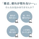 接触冷感抱き枕 日本製 Lサイズ ジャンボ 抱き枕 抱きまくら テイジン中綿使用 接触冷感カバー付き 涼しい ひんやり 大きい 妊婦【送料無料】 3