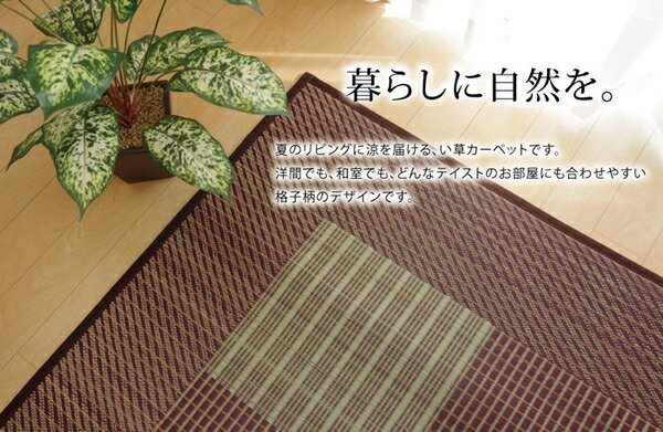 い草 ラグマット/絨毯 【格子柄 シンプルモダン グリーン 約191×191cm】 日本製 抗菌 防臭 調湿機能 耐久性抜群 〔リビング〕【代引不可】