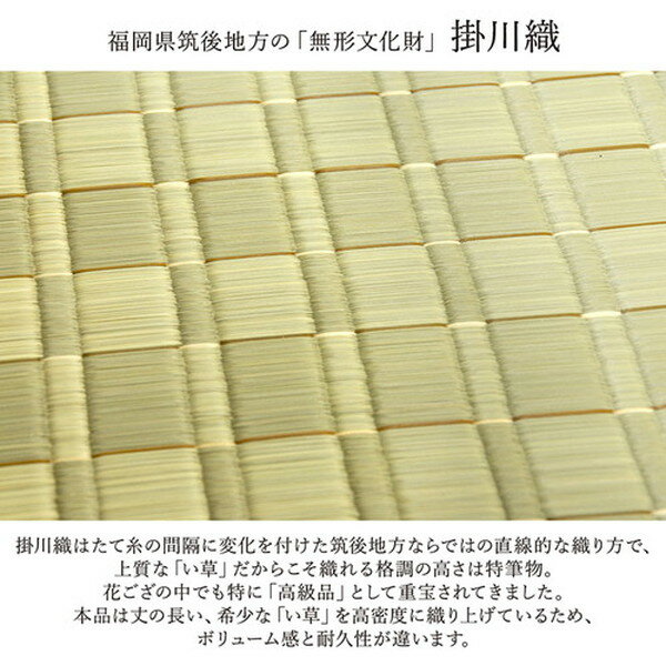 い草 花ござ ラグマット/絨毯 【江戸間2畳 約174×174cm グリーン】 日本製 抗菌 防臭 調湿 消臭 掛川織 〔リビング〕 (代引不可) [3]