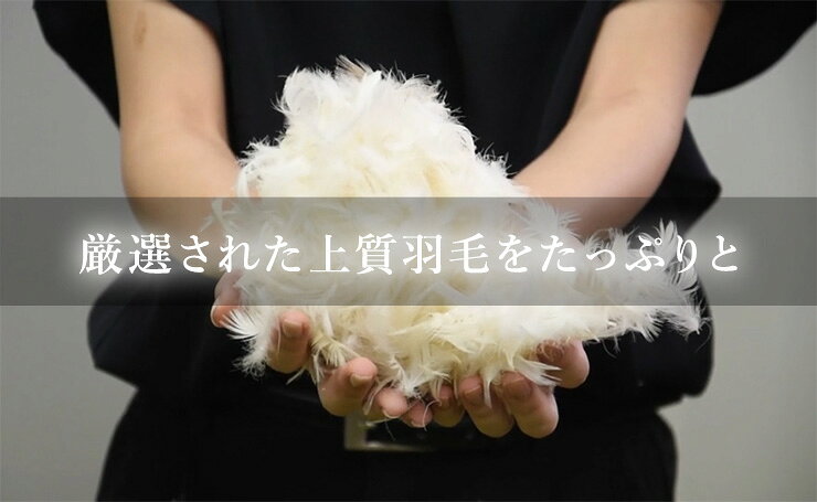 枕 コンビネーション枕 パイプ 羽根 フェザー 丸八真綿 ホテル仕様 63×43cm 羽根1.25倍 両面対応 綿100% 快眠 安眠 まくら ピロー 羽毛まくら 羽毛枕 フェザーパイマー枕 Sleep Artist 【送料無料】 [3]