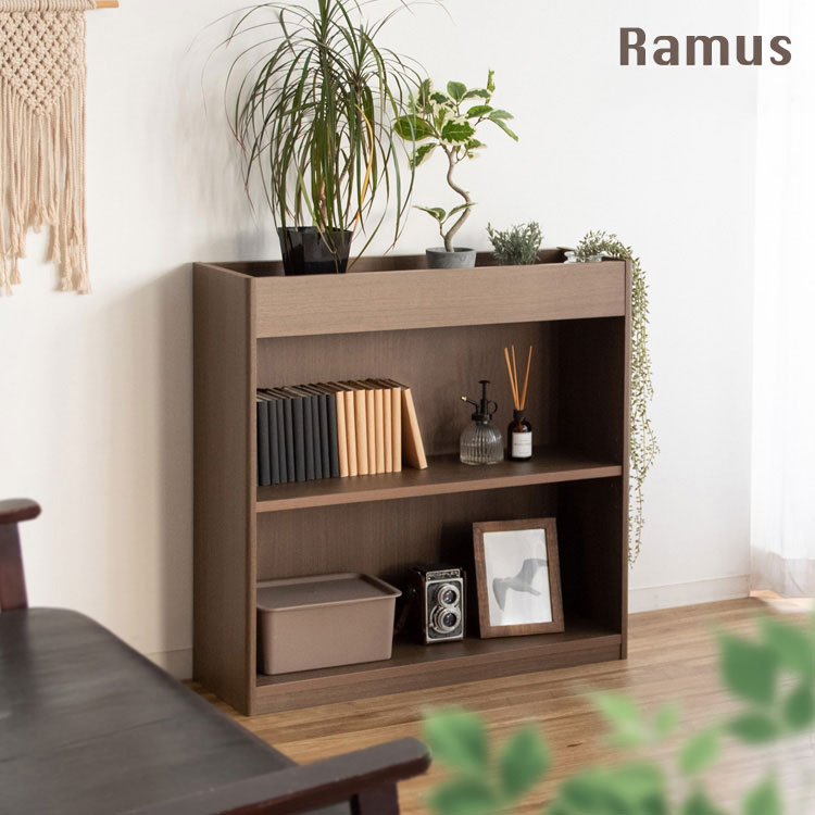 Ramus プランターラック オープンラック ボックス収納 オープン収納 収納棚 雑貨 プランター ディスプレイ スタイリッシュ 観葉植物 可動棚 省スペース スリム設計 リビング おしゃれ 屋内 シンプル(代引不可)【送料無料】