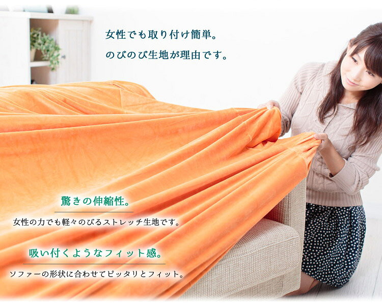 のびのび フィットタイプ・ストレッチ ソファーカバー マイクロベロア 【2人掛用】(代引不可)【送料無料】 [3]
