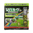 レインボー薬品 シバキープProサッチ分解剤 1.5kg 日本製 国産【送料無料】