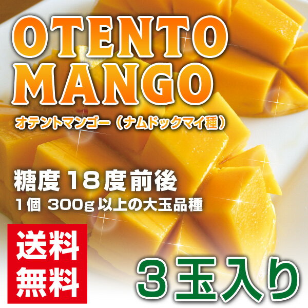 マンゴー OTENTOマンゴー タイ産 300g以上×3玉入り (代引き不可)【送料無料】