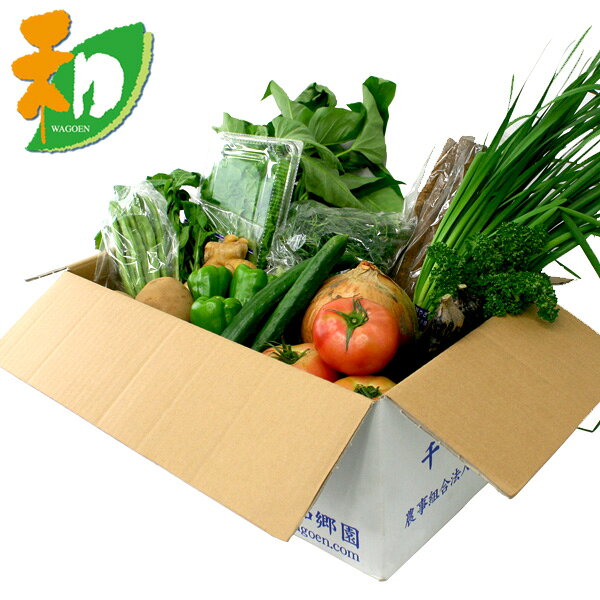 和郷園 野菜ボックス11品目〜12品目 野菜セット 野菜BOX 産地直送 農家厳選（代引き不可...