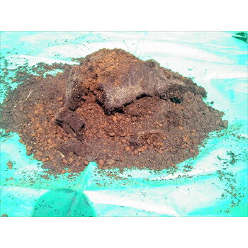 ローターシープ(回転式古土分別器)124 まわるふるい 古根、毛根を分別 回転式用土分別器 簡単操作 (代引き不可)【送料無料】