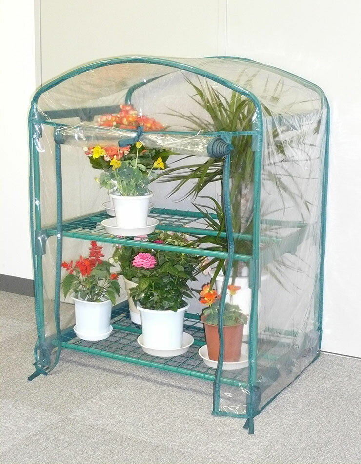 �ޥ�ϥ����� ��Ω���ʰײ��� ���꡼�󥭡��ѡ� (2��)(����Բ�)������̵����