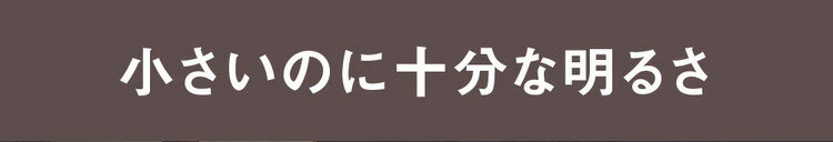 LEDセンサーライト ムサシ RITEX ライテックス LED-AC206 コンセント式 5W×2灯 明るさ900ルーメン 人感センサーライト 防犯 屋外 防犯グッズ 玄関(代引不可)【送料無料】