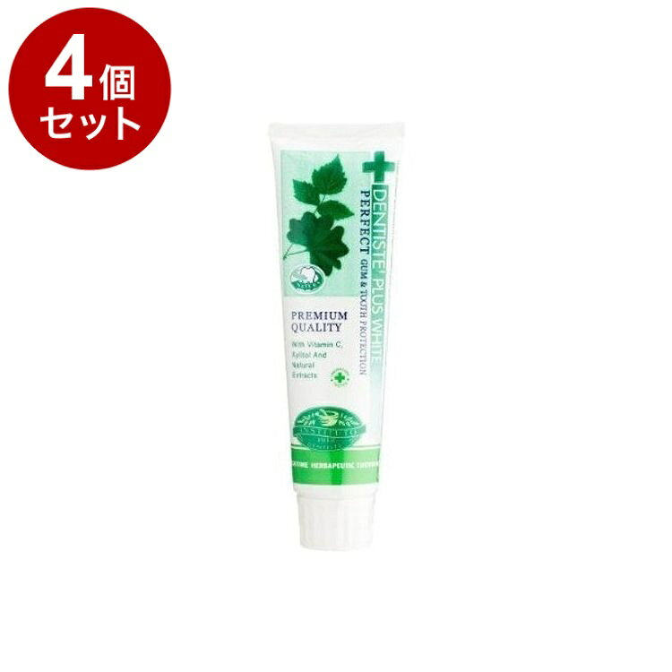 【単品4セット】 デンティス エチケット ペースト ハミガキ粉 100g ミント DENTISTE【送料無料】