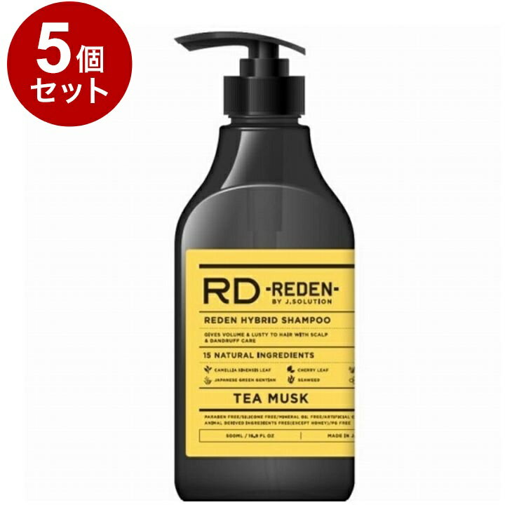 【単品5個セット】 リデン ハイブリッドシャンプー ティームスク 500ml シャンプー ヘアケア メンズ 頭皮 男性臭 REDEN【送料無料】
