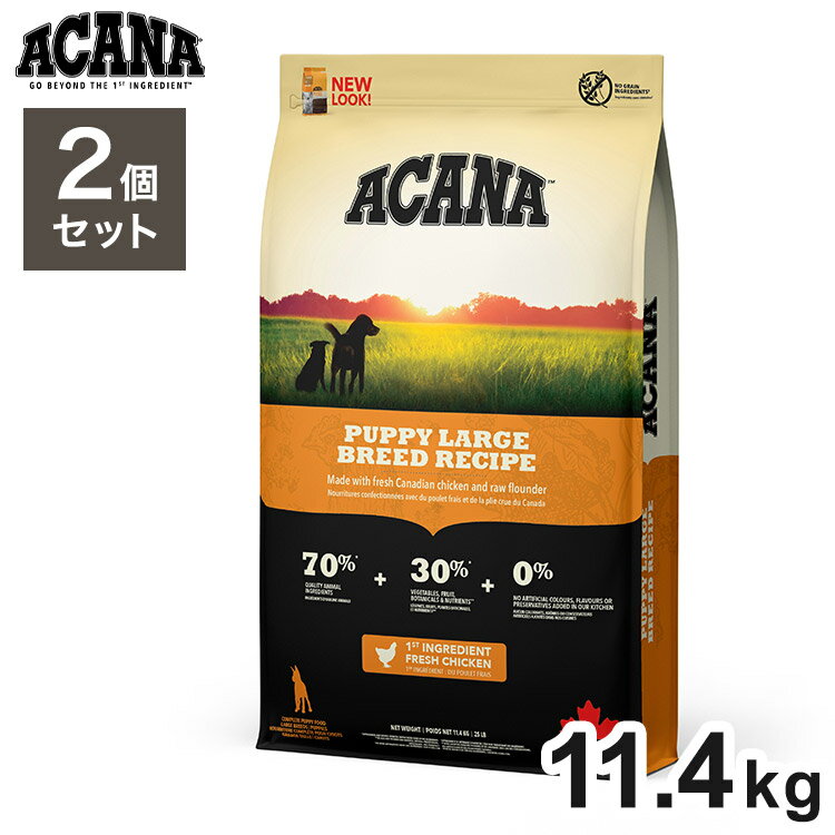 2ĥåȡ  ѥԡ顼֥꡼ɥ쥷 11.4kg x2 22.8kg ɥ饤ա ɥåա  ա ACANA̵