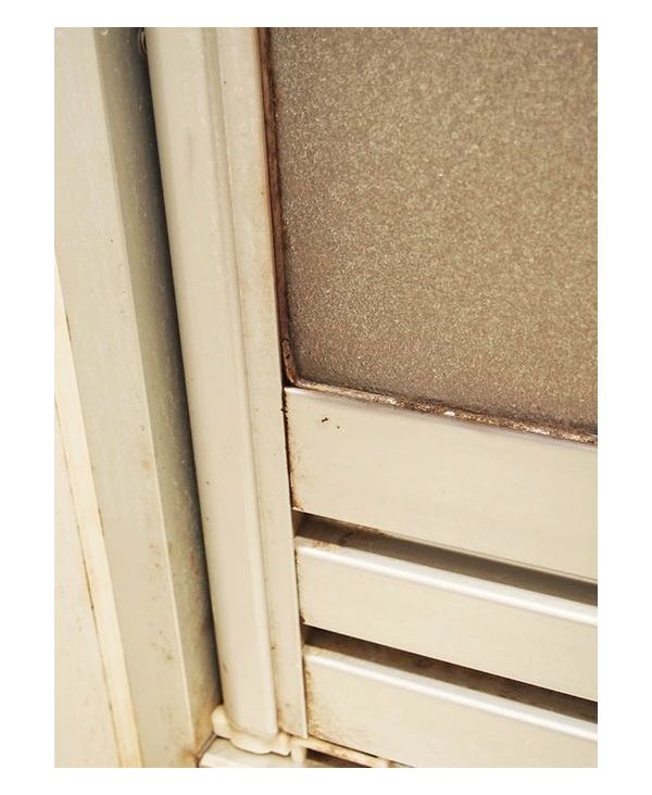 �ԥ󥯤Τդ�Ф륫�ӤȤ�110��