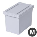 【2個セット】 天馬 いれと庫 interior M グレー いれとこ インテリア 日本製 奥行 30cm フタ付き(代引不可)【送料無料】