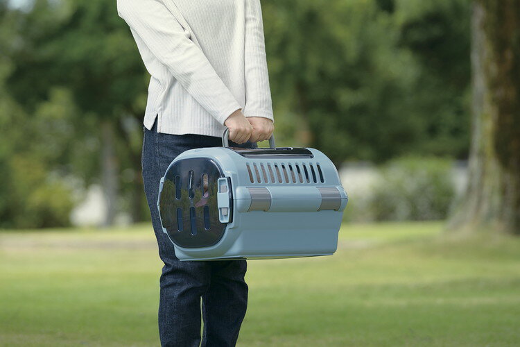 ��å����� �����ԥ󥰥���꡼ �ե����� ���֥�ɥ�(S) �֥롼 �ڥå� ����꡼ �ϡ��� �ɥ饤�� �ν�8�����ʲ� 2�ɥ�(����Բ�)������̵����