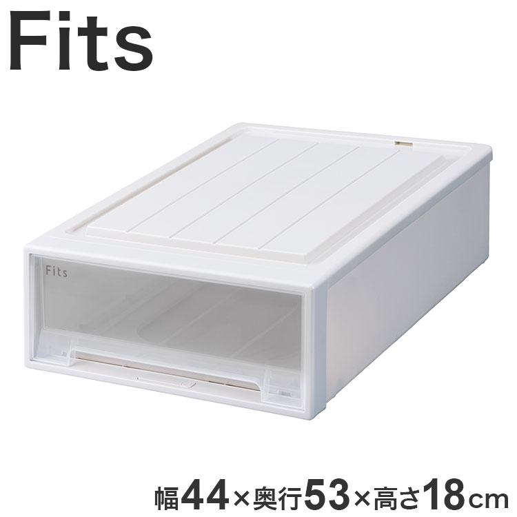 天馬 フィッツケース 53-44S WC(ホワイトクリア)(代引不可)【送料無料】