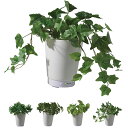 グリーンアロマミスト 超音波式加湿器 GREEN AROMA MIST KSHU-01 人工観葉植物 ディフューザー アロマミスト アロマディフューザー 加湿器...