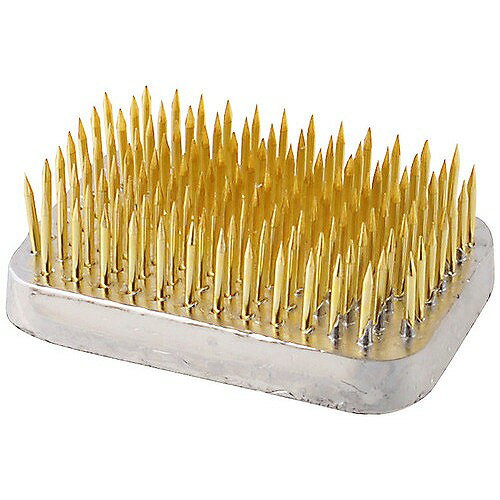 アークランドサカモト 自然作 剣山 角 豆