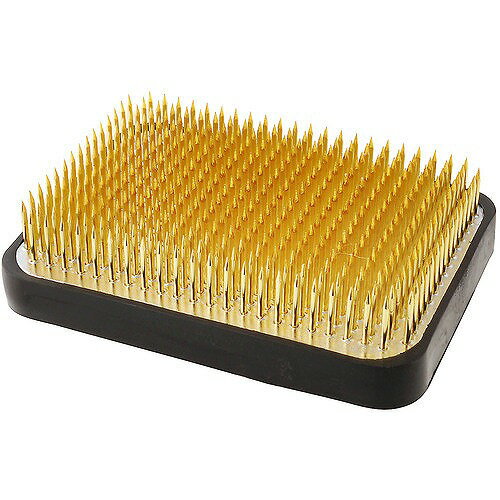 アークランドサカモト 自然作 剣山 角 大 ゴム付【送料無料】