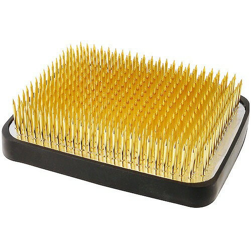 アークランドサカモト 自然作 剣山 角 大大 ゴム付【送料無料】