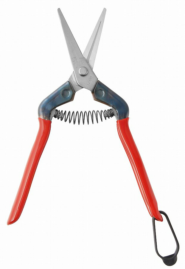 近正 近正 本職園芸用 ステンレス 芽切・摘果鋏 T-55SH