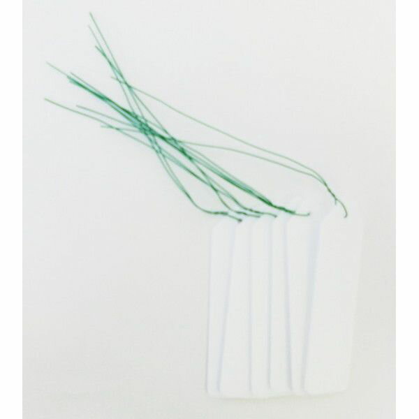 自然 園芸吊り式ラベル(ビニール) 白 6枚入 727668