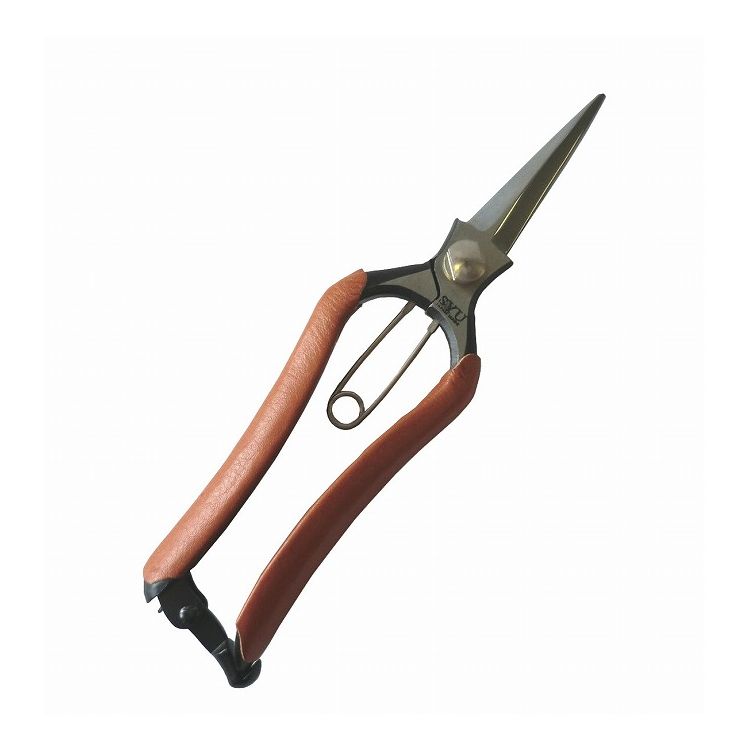 SYU 剪定ステンレス鋼製 専用ボックス付き 31q9JJ4f+WL._UF1000,1000_QL80_.jpg