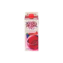 清洲桜醸造(株) 清洲桜醸造 楽園ワイン 赤 パック 500ml x1(代引不可)