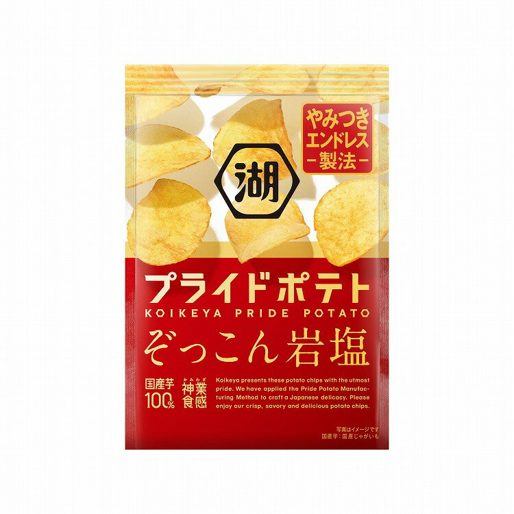 【12個セット】 湖池屋 プライドポテト ぞっこん岩塩 55g x12 まとめ買い まとめ売り お徳用 大容量 セット販売(代引不可)【送料無料】