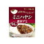 【10個セット】 中村屋 ミニハヤシ 濃厚デミ 100g x10 まとめ買い まとめ売り お徳用 大容量 セット販売(代引不可)【送料無料】