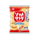 亀田 ソフトサラダ 20枚 x12 12個セット(代引不可)(4)