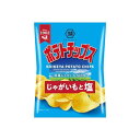 湖池屋 ポテトチップス じゃがいもと塩 60g x12 12個セット(代引不可)