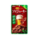 カバヤ食品 ソイジャーキー 45g x8 8個セット(代引不