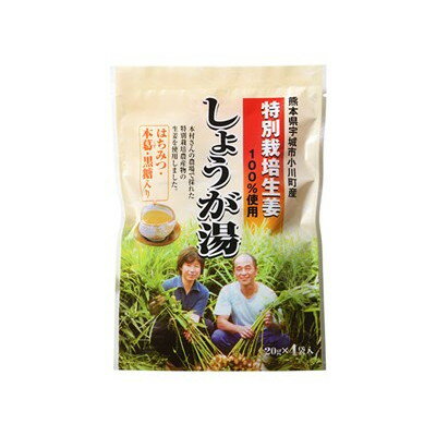 イトク食品 特別栽培 しょうが湯 20g4P x120 120個セット(代引不可)【送料無料】