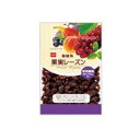 【6個セット】 共立食品 ホームメード製菓用果実レーズン 140g x6(代引不可)【送料無料】