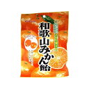 【単品10個セット】 川口 和歌山みかん飴 100gx10 まとめ買い まとめ売り お徳用 大容量 セット販売(代引不可)【送料無料】