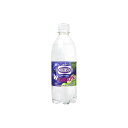 【単品24個セット】 ウィルキンソン ダブルグレープ ペット 500ml(代引不可)【送料無料】(4)
