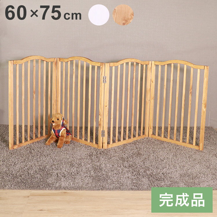 ڥåȥե ̲Ĵ 60cm ⤵75cm    ե   ֤ Ҷ ڥå ǭ ֤ ...