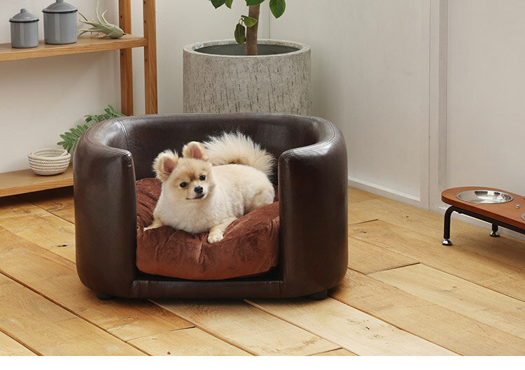 �ڥåȥ��ե� ������ ��66cm �ϥ������� �֥饦�� ����å��դ� ���å�����դ� ��ǭ���� �� ǭ ������ �ڥå� �ڥå����� �ϥ������ץե졼��(����Բ�)������̵����